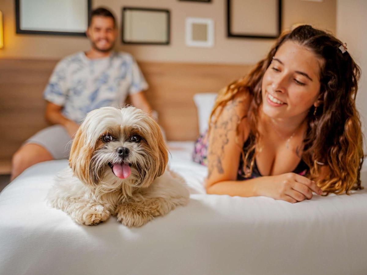 Ibis Styles Ribeirao Preto Braz Olaia 호텔 외부 사진